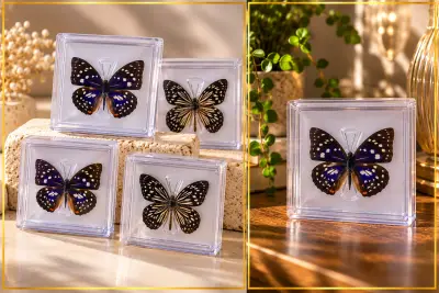 50 stuks Vlinder in Luxe Transparante Display Case – kavel bij GSD Auctions, Zoeterwoude
