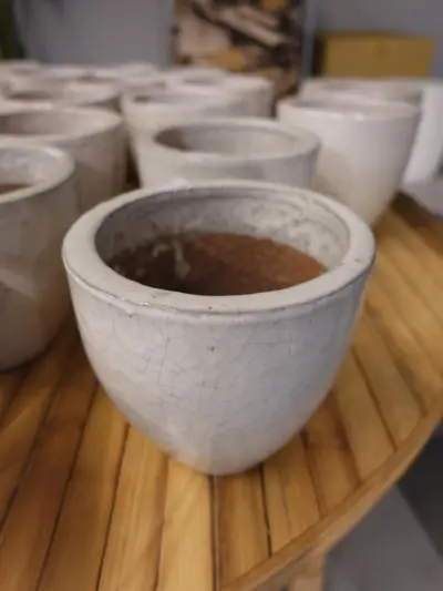 7x Vorstvrije terracotta bloempot – kavel bij Openbare Verkopen, Waregem
