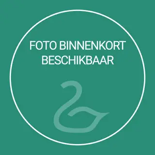 Paolo Rizzatto voor Luceplan, Italië, paar 'Costanzina' tafellampen, ontwerp 1986 – kavel bij Veilinggebouw De Zwaan, Amsterdam
