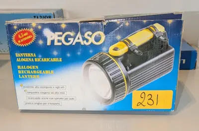 Een Pegaso-zaklamp – kavel bij Auctionline, Anderlecht