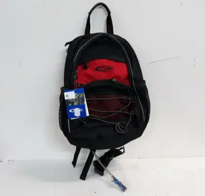 1 x Wandelrugzak 38x30 cm met ingebouwde drinkbus 2L – kavel bij Belga Veilingen, Oudsbergen