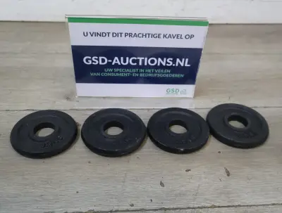 Set gewichtsschijven 0,5 kg – kavel bij GSD Auctions, Zoeterwoude