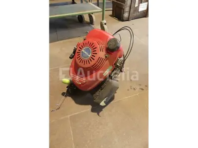 Honda Maaiermotor – kavel bij Auctelia, Binche