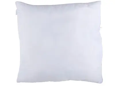 Alpina Hoofdkussen 80x80 cm – kavel bij XL Auctions