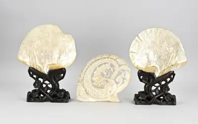 3x Chinese parelmoer schelp – kavel bij Twents Veilinghuis