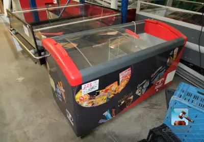 Set bestaande uit een gekoelde displaykast met een diepvrieskast – kavel bij Clicpublic, Châtelet