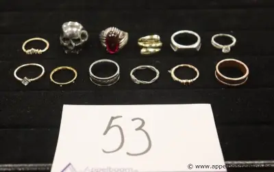 12 diverse ringen – kavel bij Appelboom