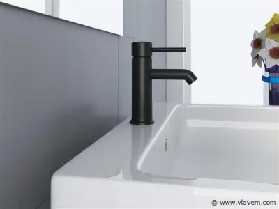 Mengkraan - verchroomd RVS zwart – kavel bij Vlavem