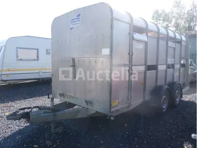 Ifor Williams DB dubbelassige veetrailer (VIN:SCKD00000L3015040) – kavel bij Auctelia, Fauvillers