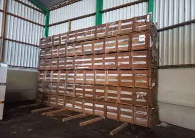 (3750x) Chambrants/ lintekast Omniplex Bintagor – kavel bij Auctim, Harelbeke
