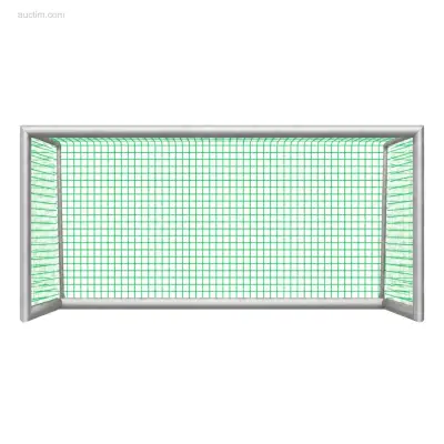 Trainingsdoelen Calzio Champion Mini 300 H150 – kavel bij Auctim, Grobbendonk