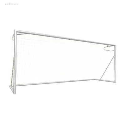 Voetbaldoelen Calzio Champion 500, incl doelnet – kavel bij Auctim, Grobbendonk