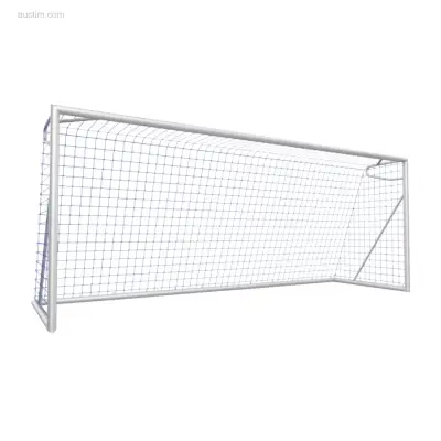 Voetbaldoelen Calzio Champion 500, incl doelnet – kavel bij Auctim, Grobbendonk