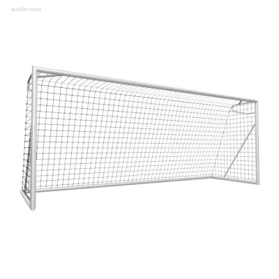 Voetbaldoelen Calzio Champion 500, incl doelnet – kavel bij Auctim, Grobbendonk