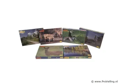 6x puzzel 1000 stuks – kavel bij ProVeiling