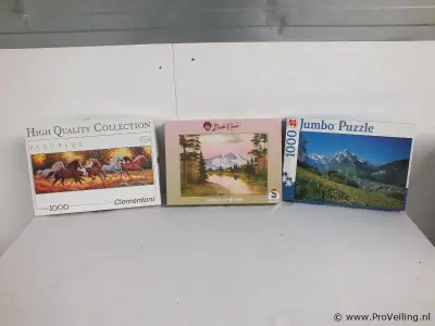3 puzzels – kavel bij ProVeiling