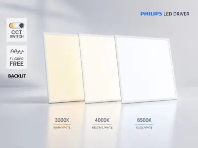 12x 40W 3 CCT 60x60 Backlit LED Panelen Philips Driver wit – kavel bij XL Auctions