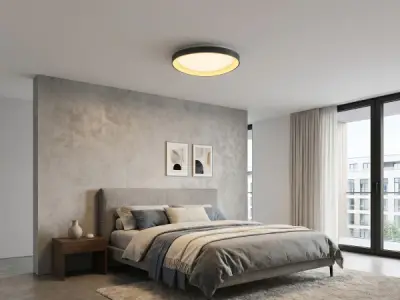 Plafondlamp Zwart 62cm 50W LED CCT 3 Kleur 3Step Dim – kavel bij XL Auctions