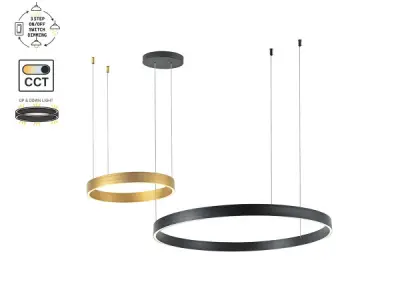 Hanglamp Zand Zwart en Goud Duo Ring 60W LED CCT 3 Kleur – kavel bij XL Auctions