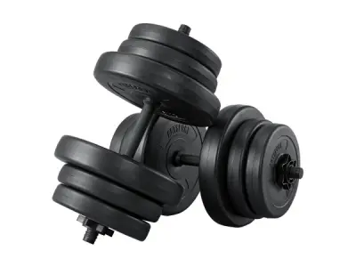 Halterset / Dumbells 40 kg - 2-delig - Zandgevuld – kavel bij XL Auctions