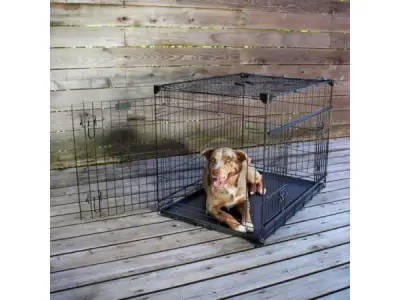 Lucky Dog bench met tussenschot 106x71x78cm – kavel bij XL Auctions