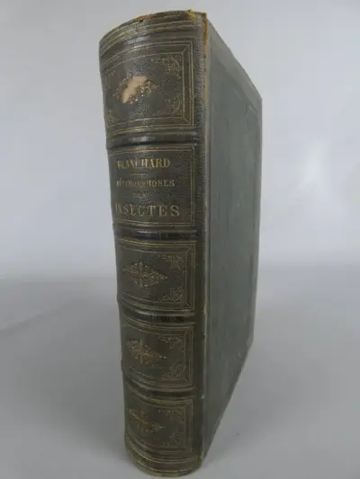 Oud boek over insecten van Emile Blanchard – kavel bij De Kringwinkel, Diest