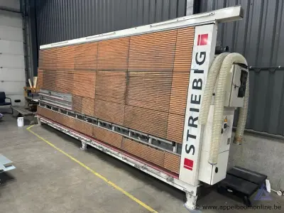 Incomplete verticale platenzaagmachine van het merk Striebig. Geschikt voor wisselstukken – kavel bij Appelboom
