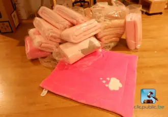 Lot de tapis d'éveil – kavel bij Clicpublic
