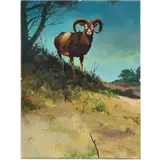 Rien Poortvliet – Moefflonram na zonsondergang op weg naar de grazinggouache18 x 13,5 cm voor boek Zo leeft de Hoge Veluwe van A.B – kavel bij Zuydwal Veilingen