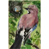 Rien Poortvliet – Vlaamse gaai ca 1960aquarel, gouache13,5 x 9 cmvoor boek Zo leeft de Hoge Veluwe van A.B – kavel bij Zuydwal Veilingen