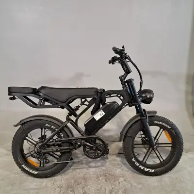 Fatbike, V20 Pro – kavel bij Domeinen Roerende Zaken, Groningen