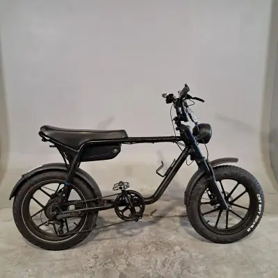 Fatbike – kavel bij Domeinen Roerende Zaken, Groningen