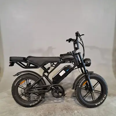 Fatbike, V20 – kavel bij Domeinen Roerende Zaken, Groningen