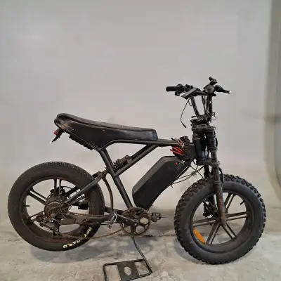 Fatbike – kavel bij Domeinen Roerende Zaken, Groningen