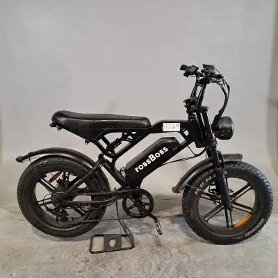 Fatbike, CrossBoss – kavel bij Domeinen Roerende Zaken, Groningen
