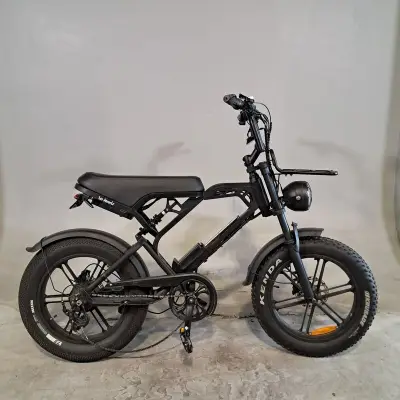 Fatbike, La Souris, V20, 2024 – kavel bij Domeinen Roerende Zaken, Groningen