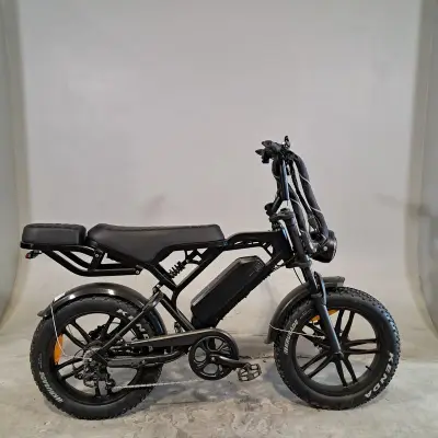 Fatbike – kavel bij Domeinen Roerende Zaken, Groningen