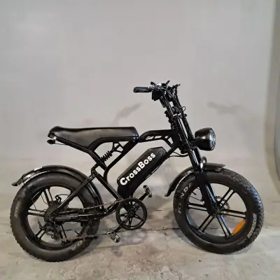 Fatbike, CrossBoss – kavel bij Domeinen Roerende Zaken, Groningen