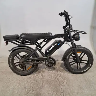 Fatbike, La Souris, CrossBoss – kavel bij Domeinen Roerende Zaken, Groningen