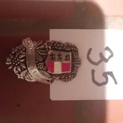 Wandelstokschildje / insigne met bloemdecoratie en wapenschild van Spittal a. d. Drau lot 35 – kavel bij Goeiendeal, Lommel