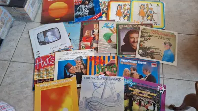 Verzameling van 15 vinyl lp's en singles van diverse artiesten – kavel bij Goeiendeal, Houthalen-Helchteren