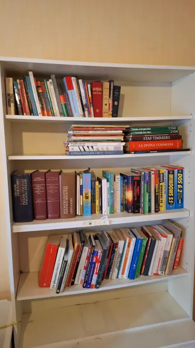 Grote collectie diverse boeken, woordenboeken en softwaregidsen exclusief kast – kavel bij Goeiendeal, Houthalen-Helchteren