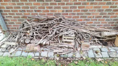 Partij los snoeiafval, takken en houten kistjes – kavel bij Goeiendeal, Houthalen-Helchteren