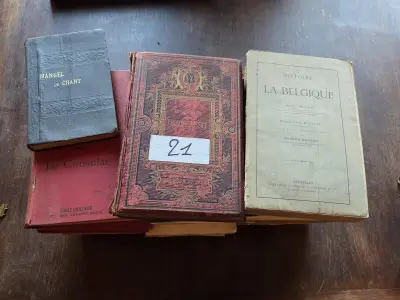 Stapel antieke en historische boeken waaronder "Histoire de la Belgique" van H.G. Moke lot 21 – kavel bij Goeiendeal, Jette