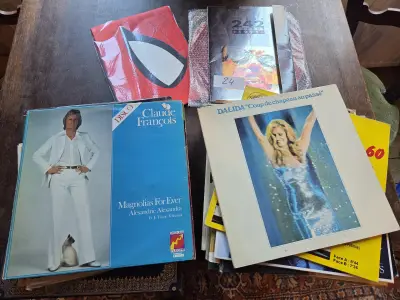 Groot lot lps (33 toeren) waaronder Claude François en Dalida & Spiderman boek lot 24 – kavel bij Goeiendeal, Jette