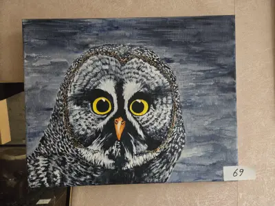 Schilderij, close-up portret van een uil met gele ogen op canvaspaneel lot 69 – kavel bij Goeiendeal, Jette