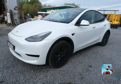 Tesal model y – kavel bij Clicpublic, Marche