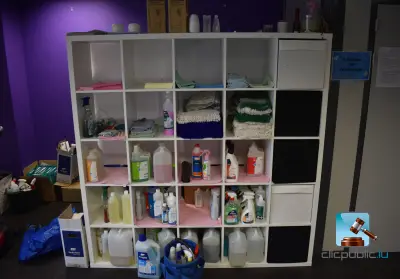 Set schoonmaakproducten – kavel bij Clicpublic, Niederkorn