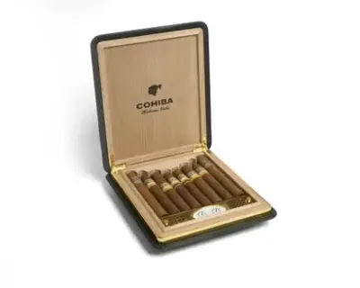Travel humidor cohiba 50 aniversario – kavel bij Galerie Moderne, Elsene (Brussel)