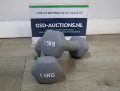 Set van 2 grijze dumbbells 1.5 kg – kavel bij GSD Auctions, Zoeterwoude